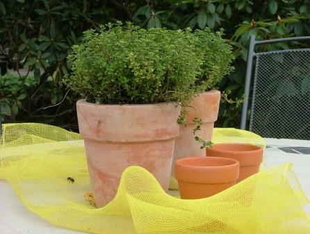 Tischdeko mit mediterranem Flair