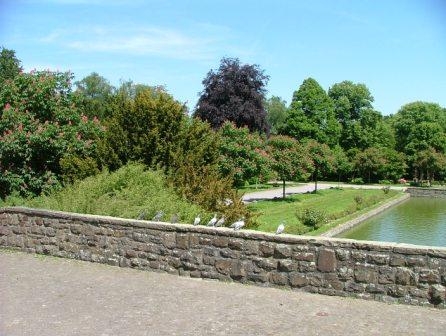 Kosten reduzieren durch Freiflächen-Management