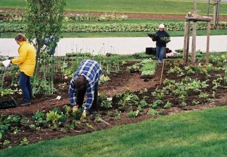 Pflanzen mit Konzept spart Zeit und Geld