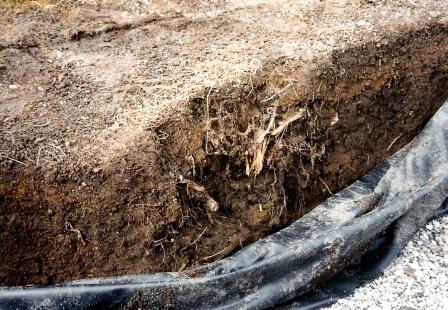 Aufdeckung einer nicht fachgerecht eingebauten Teichfolie in einem Hausgarten